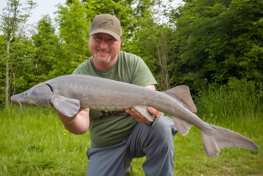 Sturgeon Fishing – Natural Baits Vs Modern Day Methods